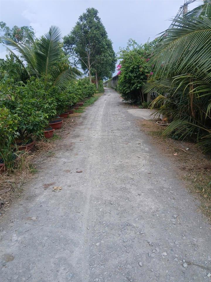 Bất động sản tại Long An - ảnh 1