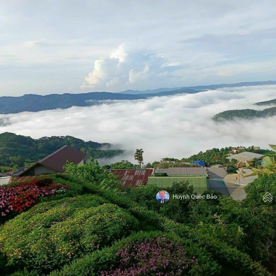 Bất động sản tại Lâm Đồng - ảnh 1