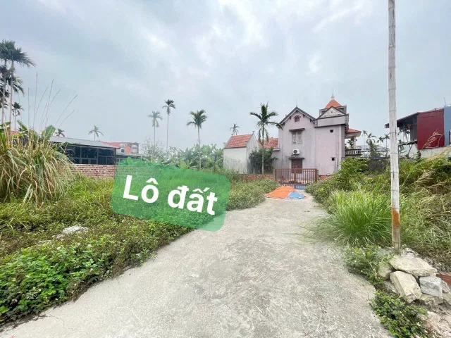 Bất động sản tại Hải Phòng - ảnh 1