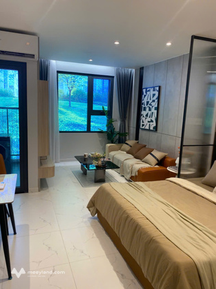 Bất động sản tại Long An - ảnh 1