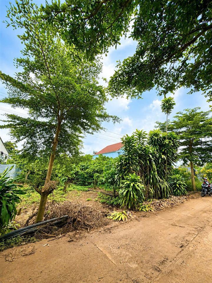 Bất động sản tại Lâm Đồng - ảnh 1