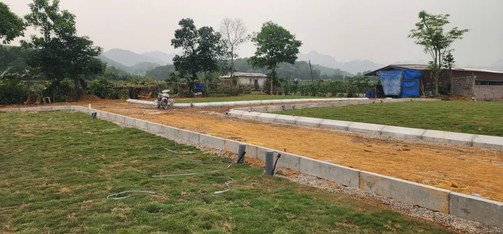 Bất động sản tại Phú Thọ - ảnh 1