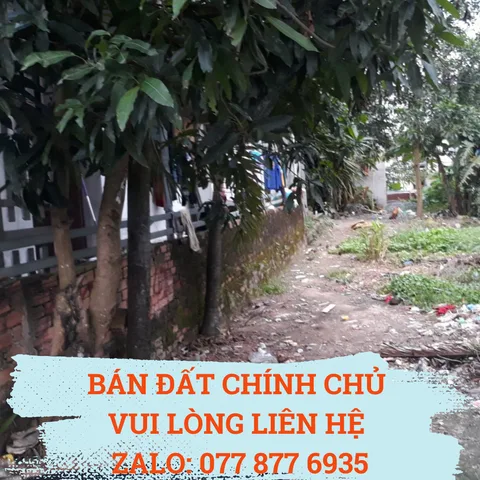 Bất động sản tại Đồng Nai - ảnh 1