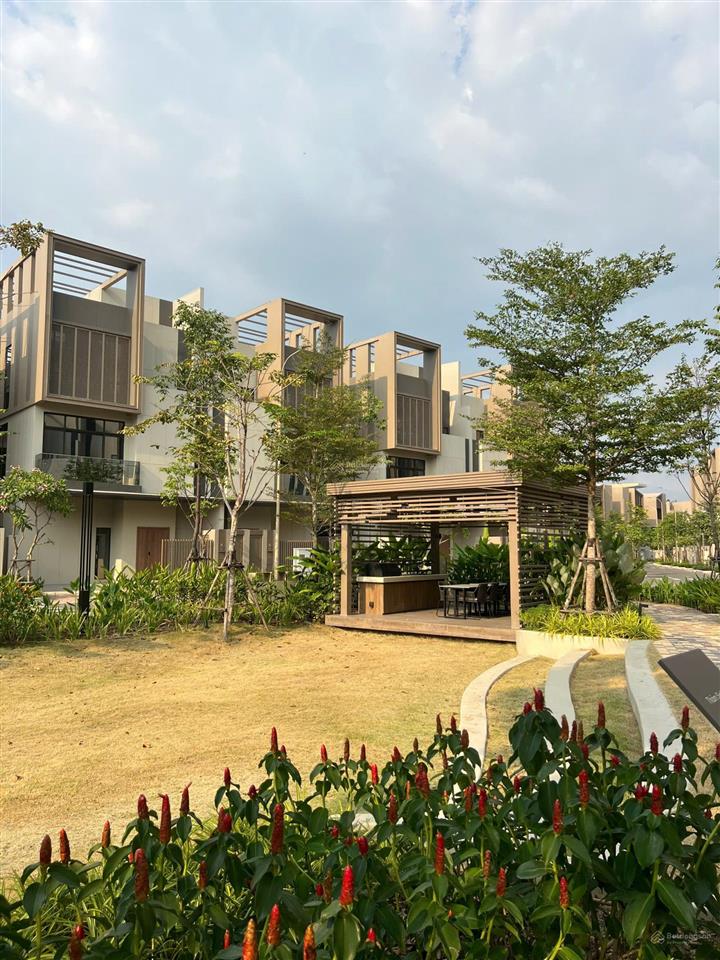Bất động sản tại Bình Dương - ảnh 1