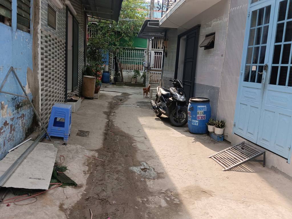 Bất động sản tại Bình Dương - ảnh 1