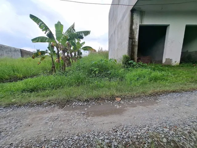Bất động sản tại Tây Ninh - ảnh 1