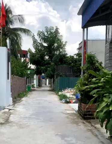Bất động sản tại Hải Phòng - ảnh 1