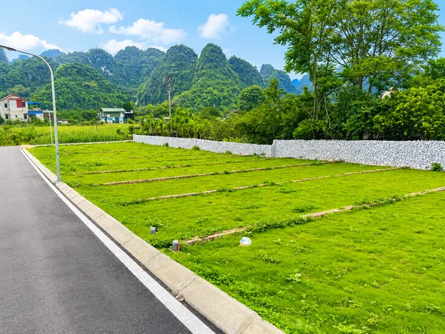 Bất động sản tại Phú Thọ - ảnh 1
