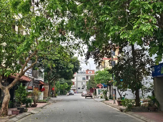 Bất động sản tại Bắc Ninh - ảnh 1