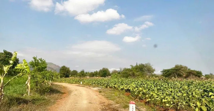 Bất động sản tại Khánh Hòa - ảnh 1