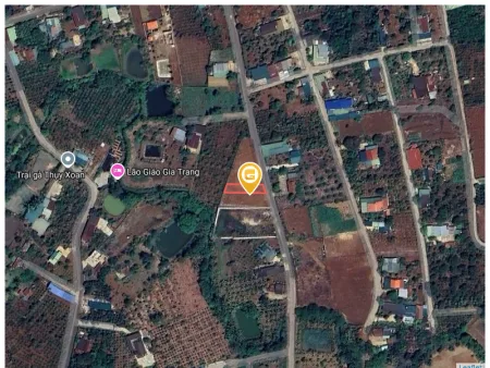 Bất động sản tại Đắk Lắk - ảnh 1