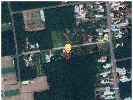 Bất động sản tại Bình Dương - ảnh 1