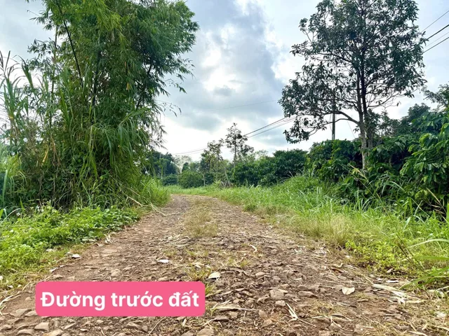 Bất động sản tại Đắk Lắk - ảnh 1