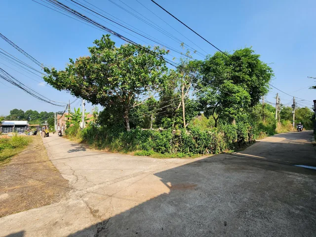 Bất động sản tại Đồng Nai - ảnh 1