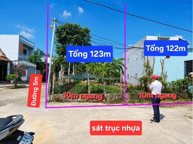 Bất động sản tại Đà Nẵng - ảnh 1
