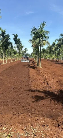 Bất động sản tại Đắk Lắk - ảnh 1