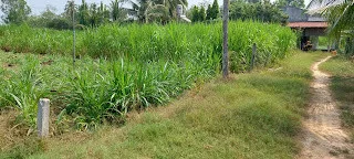 Bất động sản tại Tây Ninh - ảnh 1