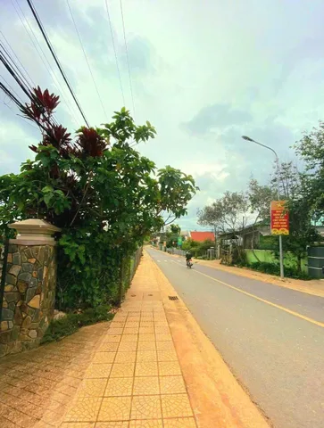 Bất động sản tại Lâm Đồng - ảnh 1