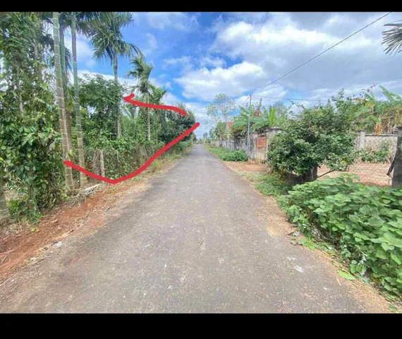 Bất động sản tại Đắk Lắk - ảnh 1