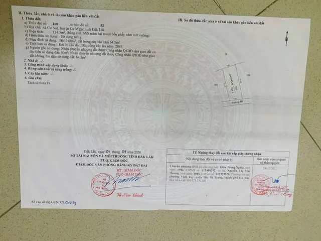 Bất động sản tại Đắk Lắk - ảnh 1