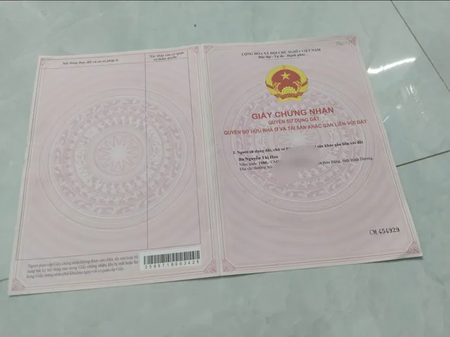 Bất động sản tại Bình Dương - ảnh 1