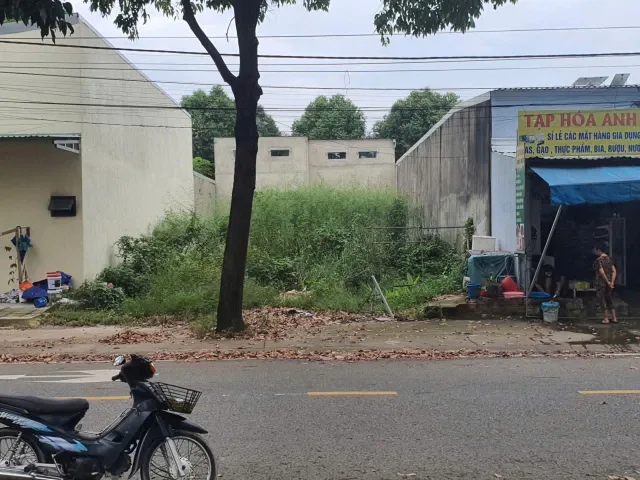 Bất động sản tại Bình Dương - ảnh 1