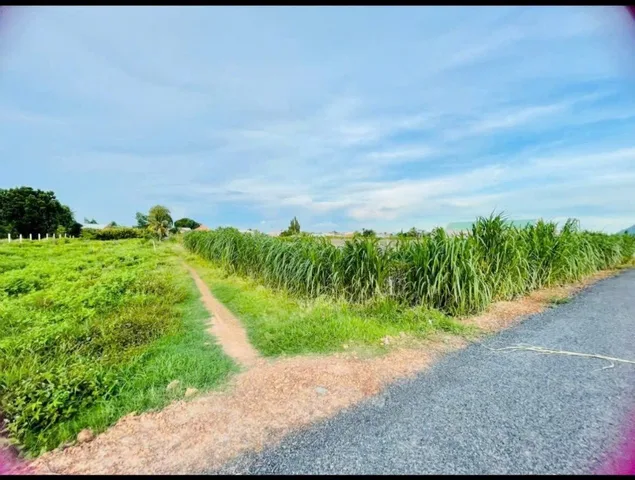 Bất động sản tại Tây Ninh - ảnh 1
