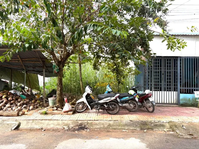 Bất động sản tại Cần Thơ - ảnh 1