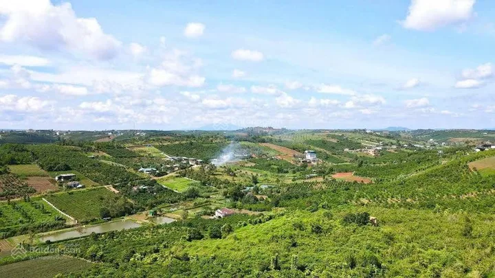Bất động sản tại Lâm Đồng - ảnh 1