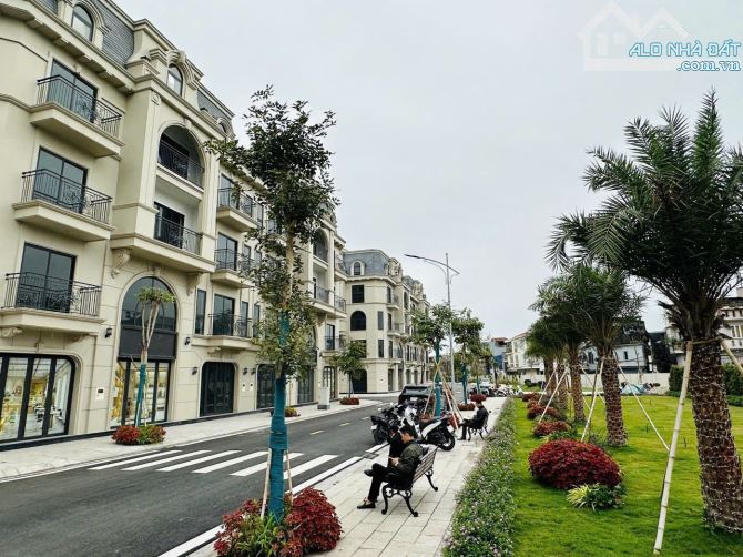 Bất động sản tại Hải Phòng - ảnh 1