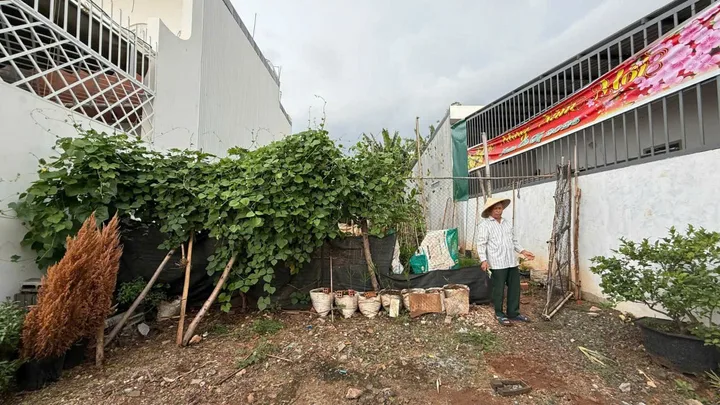 Bất động sản tại Đắk Lắk - ảnh 1