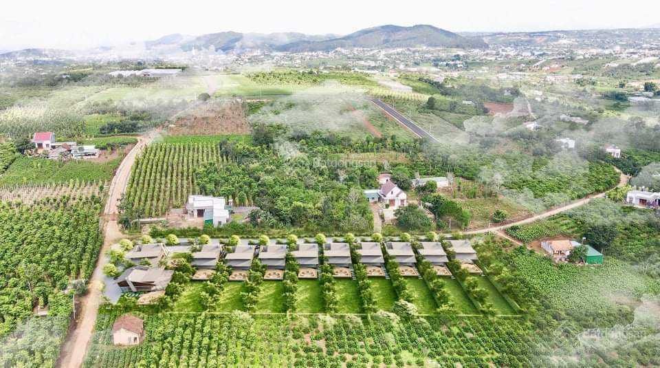 Bất động sản tại Lâm Đồng - ảnh 1
