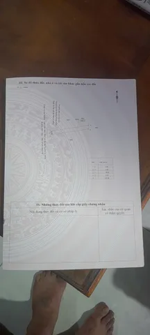 Bất động sản tại Bình Dương - ảnh 1