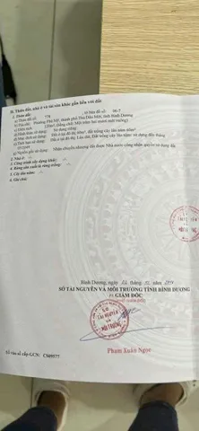 Bất động sản tại Bình Dương - ảnh 1