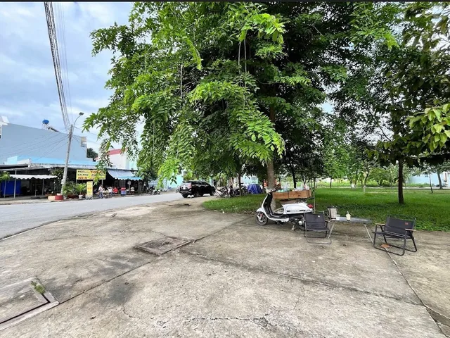 Bất động sản tại Bình Dương - ảnh 1