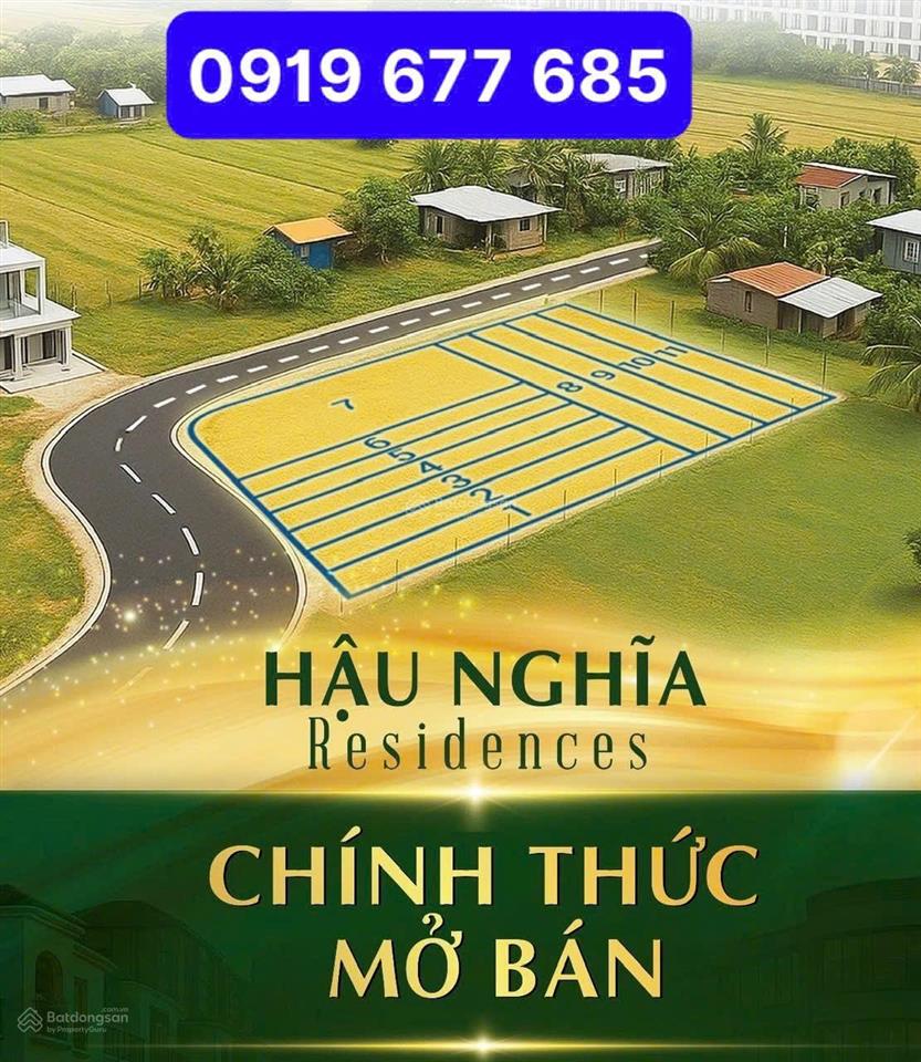 Bất động sản tại Long An - ảnh 1