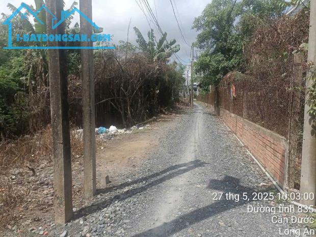 Bất động sản tại Long An - ảnh 1