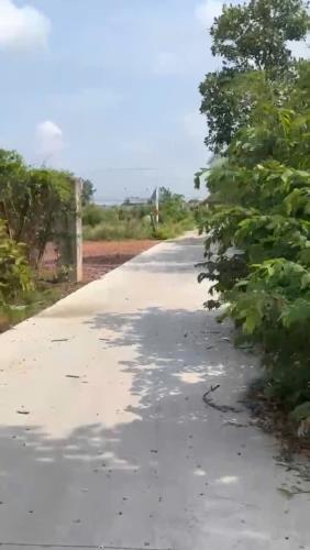 Bất động sản tại Long An - ảnh 1