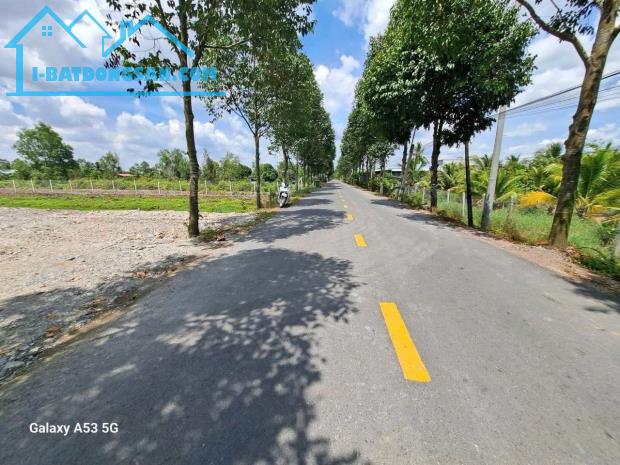 Bất động sản tại Long An - ảnh 1