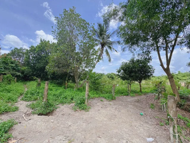 Bất động sản tại Tây Ninh - ảnh 1
