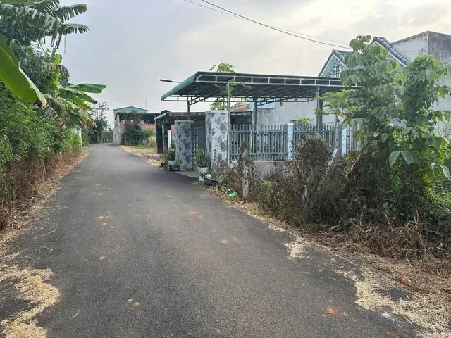 Bất động sản tại Bình Dương - ảnh 1