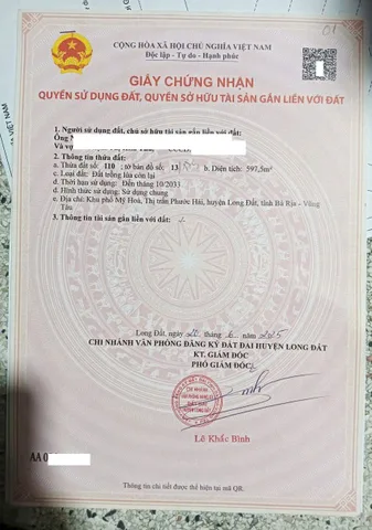 Bất động sản tại Bà Rịa - Vũng Tàu - ảnh 1