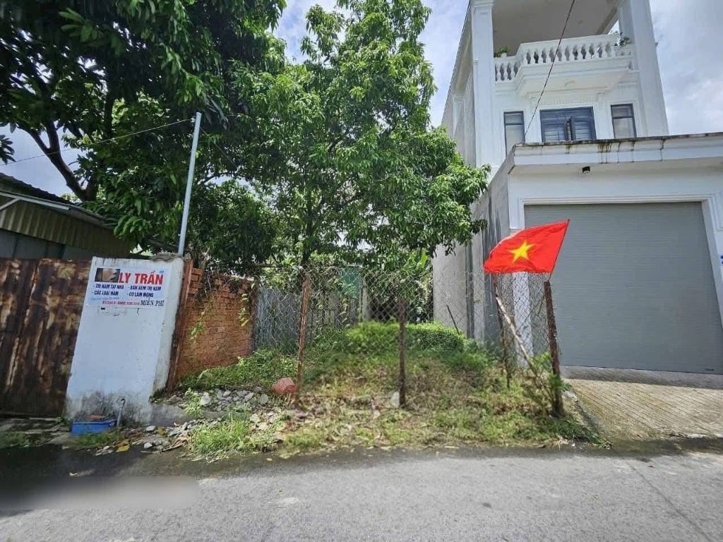 Bất động sản tại Bình Dương - ảnh 1