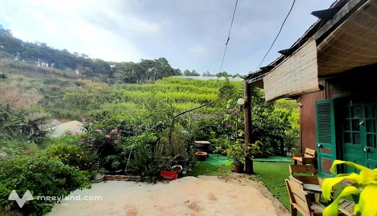 Bất động sản tại Lâm Đồng - ảnh 1