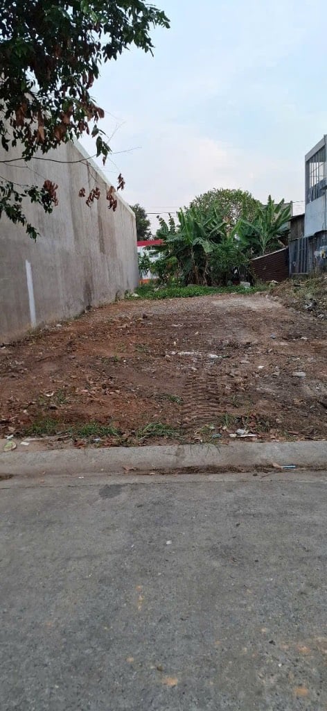 Bất động sản tại Bình Dương - ảnh 1