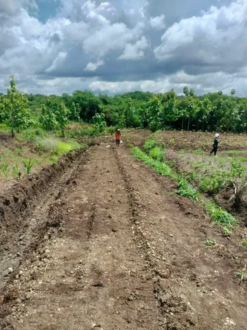 Bất động sản tại Đắk Lắk - ảnh 1