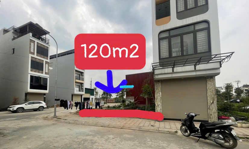 Bất động sản tại Nam Định - ảnh 1
