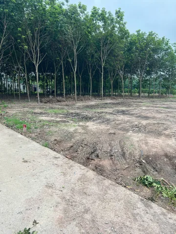 Bất động sản tại Bình Dương - ảnh 1