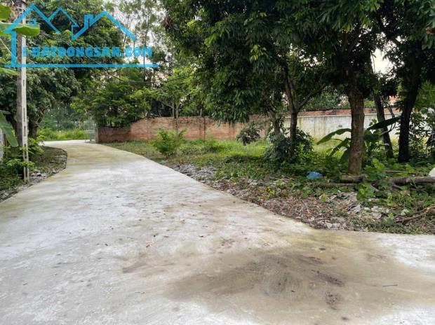 Bất động sản tại Vĩnh Phúc - ảnh 1