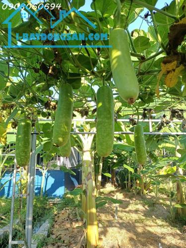 Bất động sản tại Khánh Hòa - ảnh 1